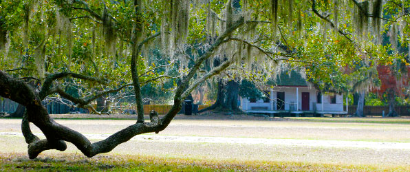 Middleton Plantation, Charleston South Carolina