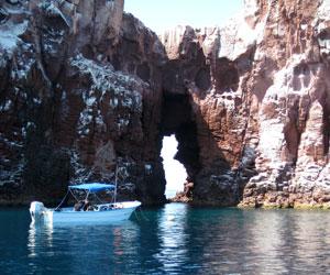 Los Islotes Baja California Mexico