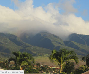 Maui Landscape