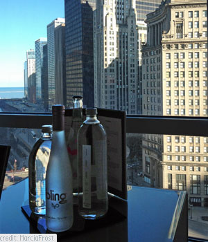Our view at the Trump Towers Chicago