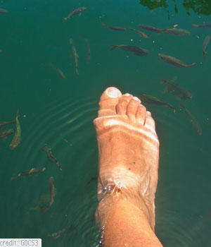 Cenote swimming in Mexico
